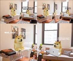 Le Therapy Has Arrived R Dogelore Ironic Doge Memes Know Your Meme