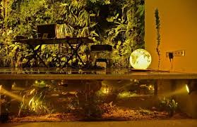 Pflanzen Vertikalen Garten Oder Wie Man Einen Echten Garten Im Buro Macht Vertikaler Garten Grune Wande Wandbegrunung