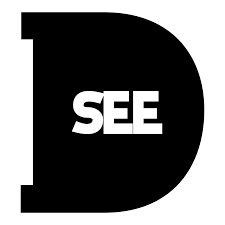 Dsee.labs hologram can display both 2d and 3d videos. Home D See Video Productions
