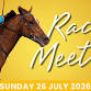 Christmas in July at the races event image