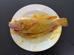Namun dalam resepi ini menggunakan ikan talapia. Resepi Ikan Talapia Tiga Rasa Senang Dan Sedap