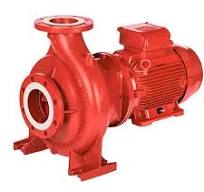 Bell & Gossett e-1610 End Suction Pump: High Efficiency ...