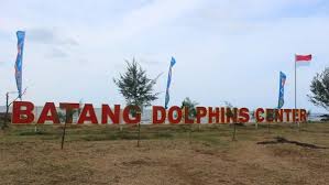 Namun potensi yang tersebut masih kurang didukung oleh kemudahan akses. 205m4d1 Pantai Sigandu Kabupaten Batang Jawa Tengah