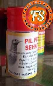 Pemberian pil edan juga, termasuk dalam salah satu proses pelatihan merpati, karena kandungan yang dimilikinya, akan mendatangkan manfaat istimewa untuk merpati, pada saat diarena balap. Pil Perkutut Gacor Pil Penggacor Perkutut Agar Bunyi Dan Berani Lazada Indonesia