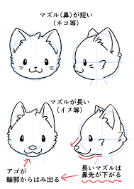 使い魔 ぬいぐるみ 動物キャラをかわいくデフォルメ いちあっぷ 簡単 キャラクター イラスト 猫のスケッチ 猫 イラスト かわいい