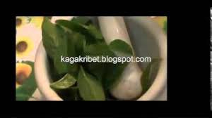 Kali ini site3k.net akan memberikan ulasa singkat apa saja khasiat buah pinang untuk lelaki. Khasiat Daun Sirih Mengatasi Ejakulasi Dengan Daun Sirih Pria Wjib Nonton Bro Youtube