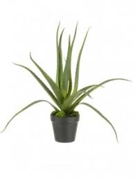 8 All Time Best Tricks Artificial Plants Bathroom Artificial Grass Table Artificia Artificial Garden Plants Artificial Plants Indoor Artificial Plants Outdoor