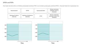 What does ipsp stand for? Epsps And Ipsps Each Label Describes Either An Chegg Com