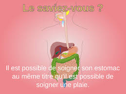 Sa musculature se contracte et se relâche (motilité. Soigner Son Estomac En 12 Regles A Suivre