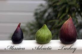 Everything You Need To Know About Figs Variedades De Higos Jardin De Productos Comestibles Fruta