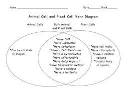 Venn Diagram Of Unicellular And Multicellular Organisms Plant And Animal Cells Animal Cell Plant Cell