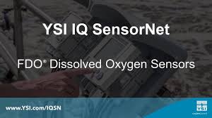 Image result for tbn:IL_egn7ojqAPdM::www.y1y1.com/data/media/697/D-Max1.JPG