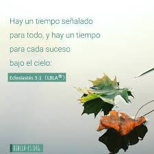 Versiculo De La Biblia Eclesiastes 3 1 Biblia Evangelio Nombrededios Elhijodelhombre Losultim Versiculo De La Biblia Evangelio De Hoy Versiculos Biblicos
