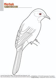 15+ gambar sketsa untuk belajar anak dalam mewarnai gambar. Download Mewarnai Gambar Burung Indonesia Alamendah S Blog