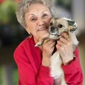 Ilardi Family Obituaries