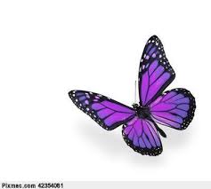 Black And Purple Butterfly Purple Monarch Butterfly Butterflies Pinterest Purple Butterfly Tattoo Butterfly Tattoo Purple Butterfly