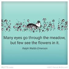 Stop And Smell The Roses Mutts Muttsofinstagram Catstagram Dogstagram Animallover Petsofinstagram Pets Loveable Quote Inspirational Quotes Quotations