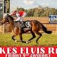 Parkes ELVIS Races event image