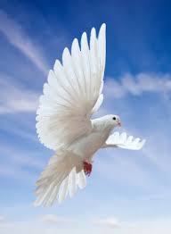 Harry Applegate Obituary