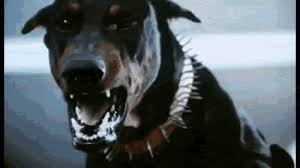 Angry Scary Dog Page 1 Line 17qq Com Find the perfect howling dog stock photos and editorial news pictures from getty images. angry scary dog page 1 line 17qq com