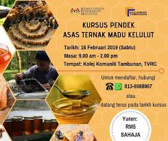 Kelulut Apa Tu Kelulut Adalah Kolej Komuniti Tambunan Facebook