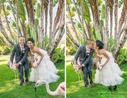 The Canaya Wedding Santa Barbara Zoo Santa Barbara Zoo Zoo Wedding Wedding