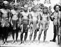 Rumah adat kalimantan barat khas dayak bernama rumah adat panjang, berikut gambar dan penjelasannya. Dayak Diminta Tidak Campur Urusan Rizieq Shihab Independensi