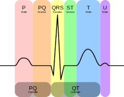 Electrocardiography in clinical practice, n. Elektrokardiogramm Wikipedia