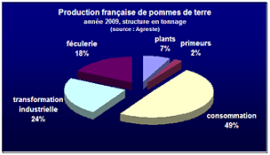 Cela signifie que beaucoup de particuliers, jardiniers amateurs ou non, sont à même de faire pousser leurs propres. Secteur De La Pomme De Terre En France Wikipedia