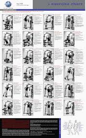 Weider 6900 Exercises Online Charts Collection