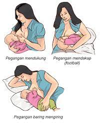 Bayi yang mengambil susu ibu tidak perlu meminum air. Masalah Penyusuan Susu Ibu Puting Merekah Atau Melecet Positive Parenting