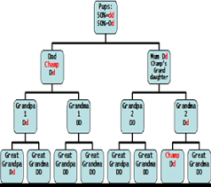 Great Breed Comparison Chart Hundreds