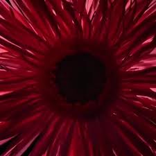 Distance between milano and greven is 746 kilometers (464 miles). Pizzeria Milano Startseite Greven Speisekarte Preise Restaurant Bewertungen Facebook