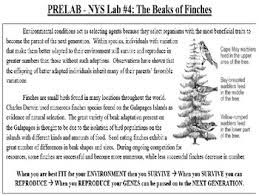 Maybe you would like to learn more about one of these? Nys Beaks Of Finches Lab By Here To Help Science Teachers Tpt