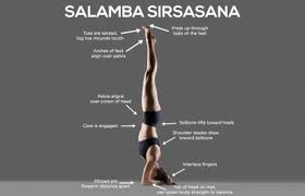 How To Do The Salamba Sirsasana And What Are Its Benefits Headstand Yoga Headstand Meditation Benefits