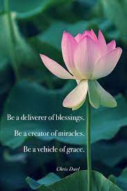 Chakra 2 Oil Miracle Quotes Blessed Quotes Flower Quotes