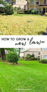 The New Front Lawn Before And After No Grass Backyard Yard Landscaping Simple Diy Lawn