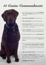 Love Thy Dog Quotes With Images Baby Dogs Dog Love Dog Quotes