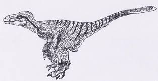 A Feathered Raptor Drawing Animal Drawings Dinosaur Drawing Feathered Raptor