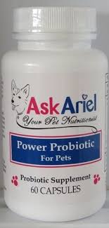 Allereaze By Askariel Works As A Natural Benadryl For Dogs Dog Allergies Pet Allergies Cat Probiotics