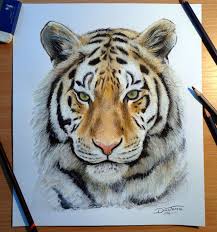 Check spelling or type a new query. 25 Beautiful Animal Drawings For Your Inspiration How To Draw Animals Realistic Animal Drawings Tiger Drawing Realistic Drawings