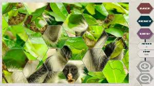 New funny or mystery free. Hexsaw Zoo Windows 8 App Play Interesting Jigsaw Puzzle