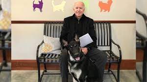 President joe biden announced on saturday the death of his dog champ. Joe Biden Will Be First President To Bring Rescue Dog To The White House Abc7 New York