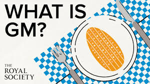 Genetic modification involves making changes to an organism's genes to give it new traits that wouldn't occur in nature or to eliminate undesirable traits. What Is Genetic Modification Youtube
