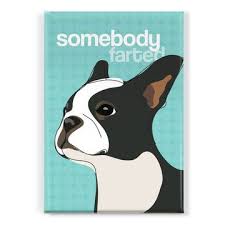 Boston Terrier Magnet Boston Terriers Presentes Para Caes Arte Com Cao
