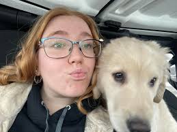 Golden Retriever perpetual puppy behavior