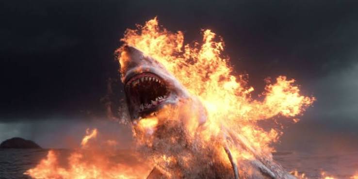 The Shallows Is a Great Shark Movie (Until the Ending Gets Silly)