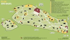 Check spelling or type a new query. Basel Ch Zoo Orchifant Botanische Und Zoologische Garten