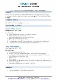 A pet at home is like a baby. Animal Shelter Volunteer Resume Samples Qwikresume