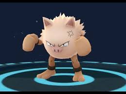 An agile pokémon that lives in trees. Pokemon Go Mankey Evolving Into Primeape Youtube